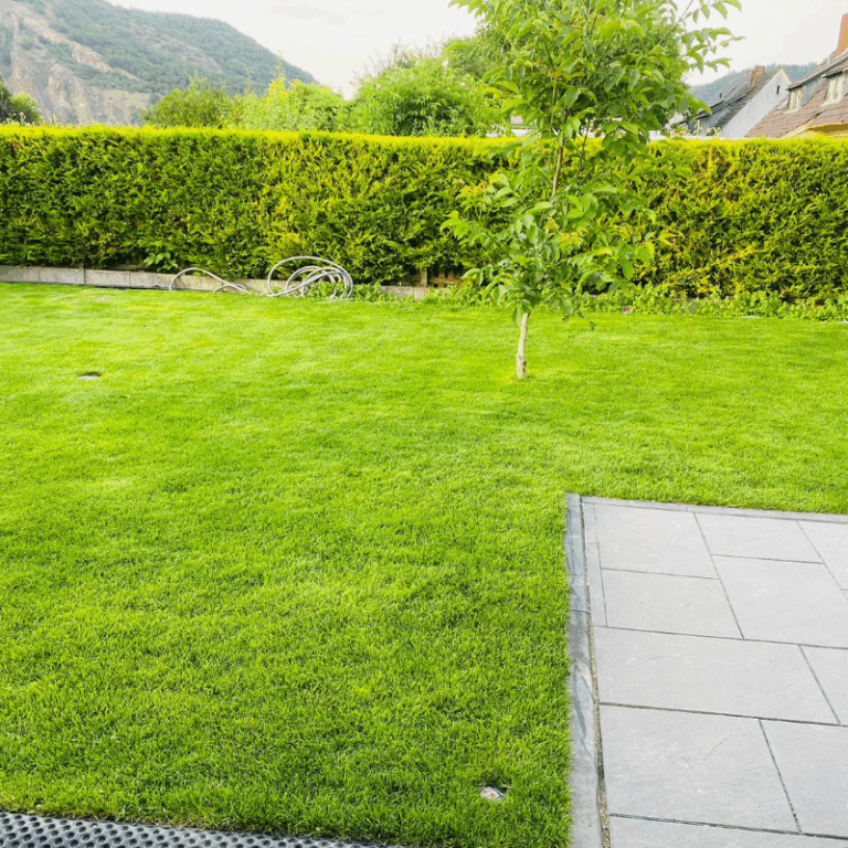 design ohne titel (26)